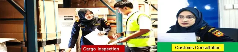 cargo-inspection